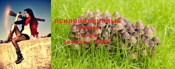 герыч Волосово
