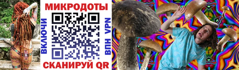 Галлюциногенные грибы MAGIC MUSHROOMS Купить где Карасук